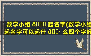 数学小组 🐈 起名字(数学小组起名字可以起什 🕷 么四个字好)